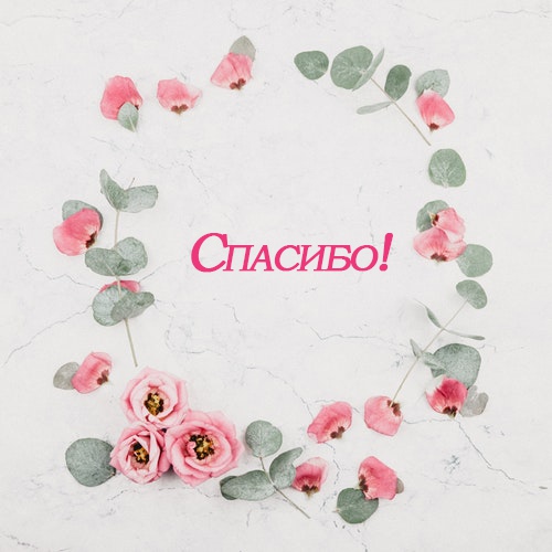 Сегодня Международный День Спасибо!